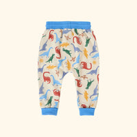Dino-Mite Terry Sweatpants