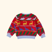 Dino Knit Jumper