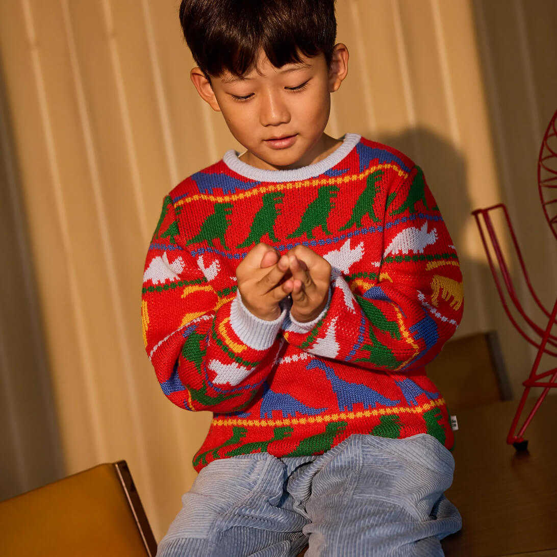 Dino Knit Jumper