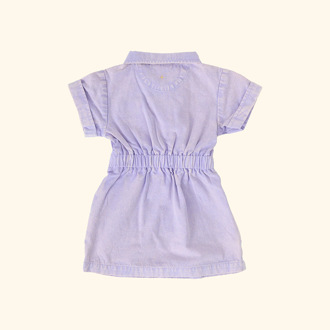 Piper Denim Belted Dress Mauve