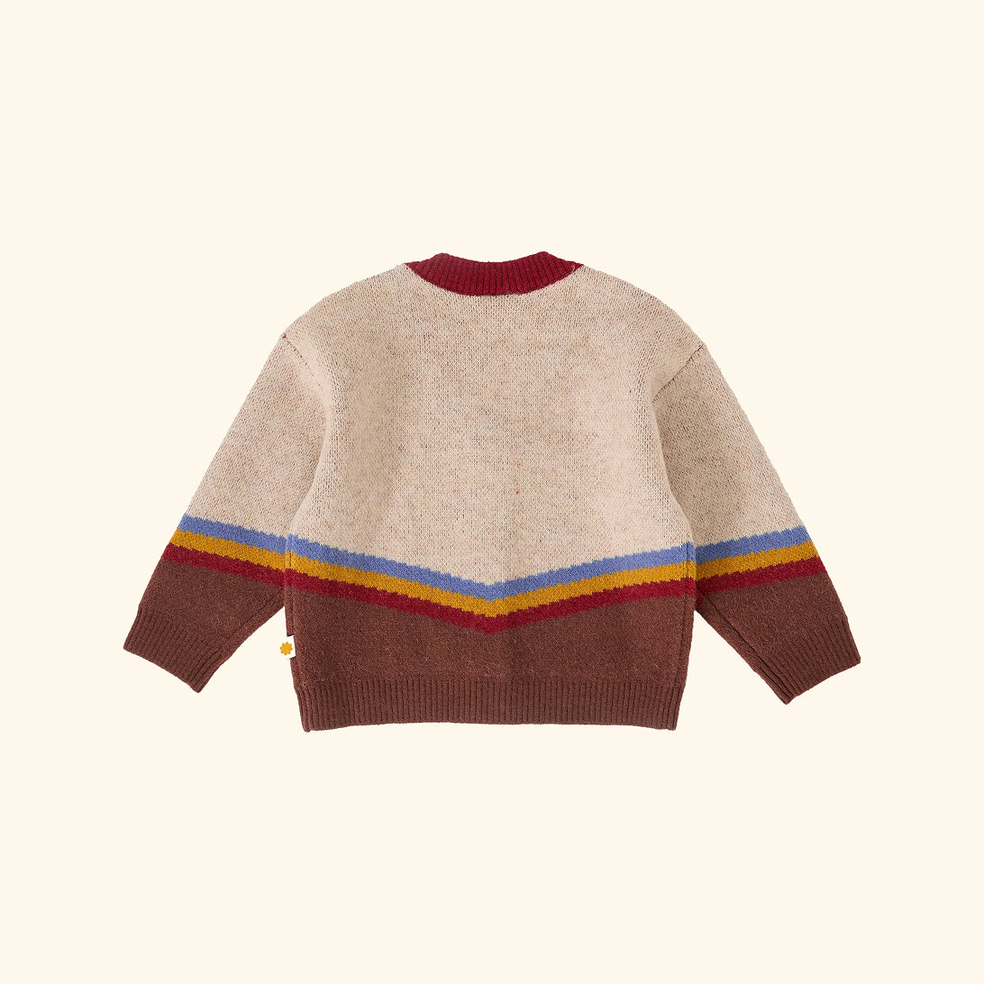 Varsity Knit Cardigan